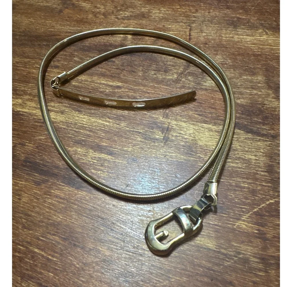 Vintage Gold Tone Metal Snake Chain Belt Skinny Adjustable Horseshoe Buckle 32in